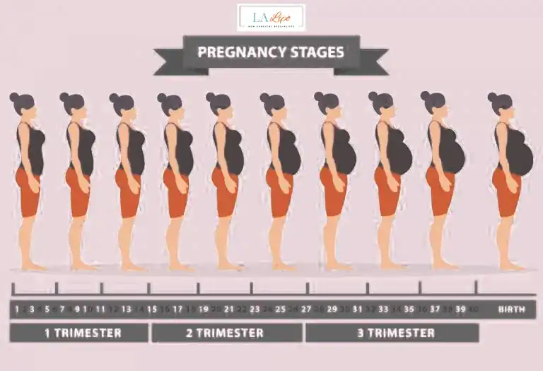 First Trimester (Weeks 1–12): Early Changes You Might Not Notice Cheshunt